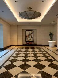 Ardmore Park (D10), Condominium #499663561